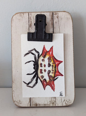 Spiny Orbweaver 2"x3" Original Watercolor