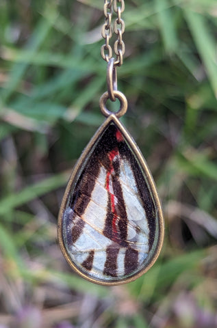 Teardrop Butterfly Wing Resin Pendant