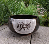 Bee Bowl