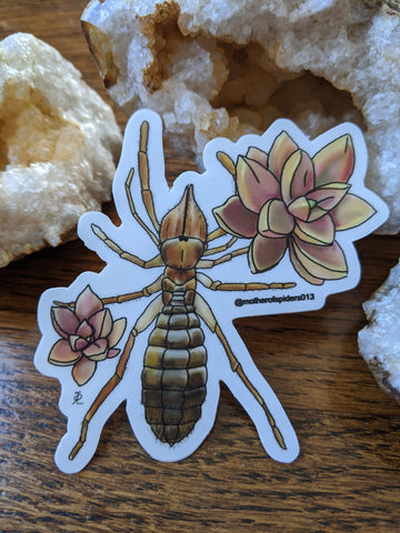 Solfugid and Succulents 3"x 3" Die Cut Sticker