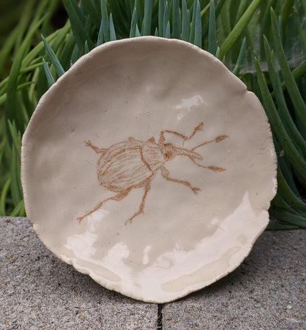 Shallow Weevil Dish