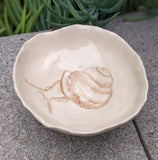 Snail Dish/Cup