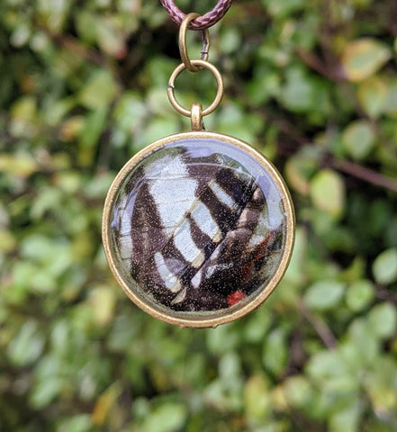 Circle Butterfly Wing Resin Pendant