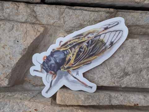 Cicada 3" x 2.5" Die Cut Sticker