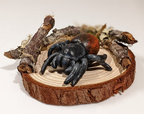 Grammostola iheringi Tarantula Sculpture