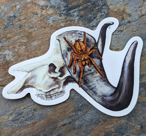 Pterinochilus murinus and Cape Buffalo 3" Die Cut Sticker